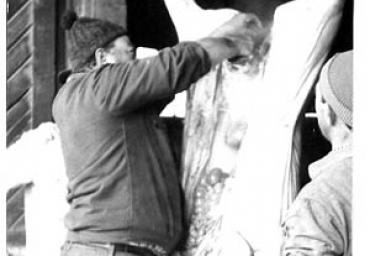 lavoricampagna_93_20081006_2035864564