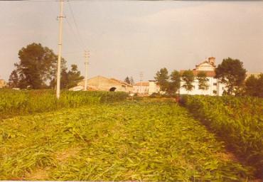 espropriocamposportivo_32_20081007_1571693266