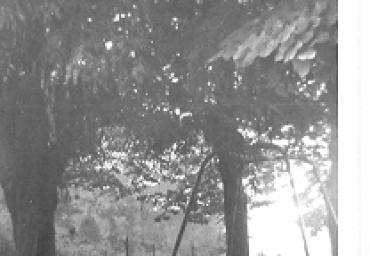 parcogiochiaffreschi_20_20081007_1343690882