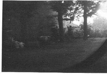 parcogiochiaffreschi_2_20081007_1593581867