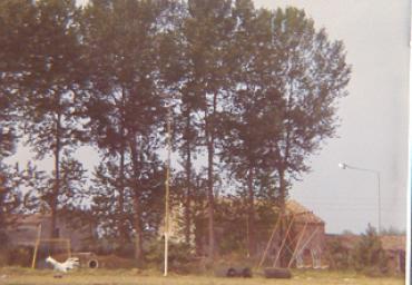 parcogiochiaffreschi_39_20081007_1810355026