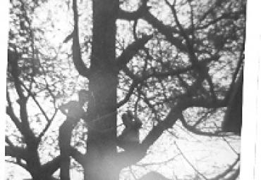 parcogiochiaffreschi_4_20081007_1532338345