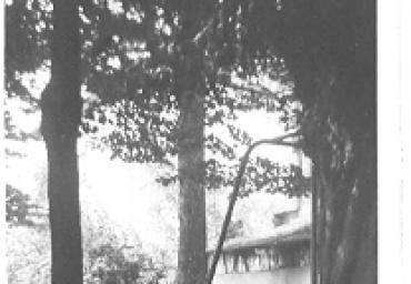 parcogiochiaffreschi_5_20081007_1039748550