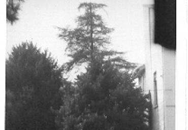 parcogiochiaffreschi_7_20081007_1708230141