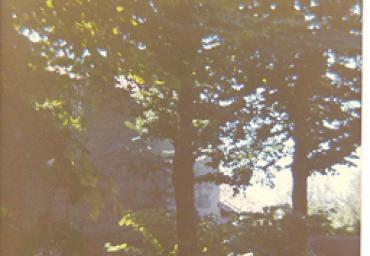 parcogiochiaffreschi_8_20081007_1876827287