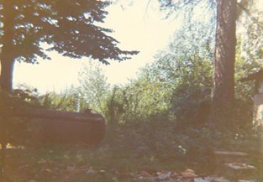parcogiochiaffreschi_9_20081007_2055803331