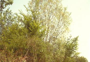 nonstop_232_20081007_1140217110