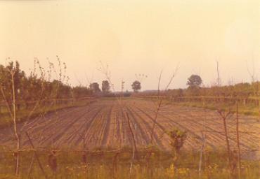 paesaggioagrario_10_20081007_1936916474