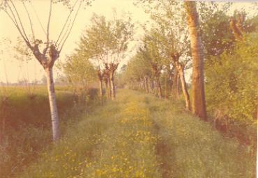 paesaggioagrario_13_20081007_1037550200