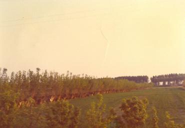 paesaggioagrario_14_20081007_2006421792