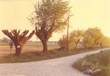 paesaggioagrario_18_20081007_1171996189