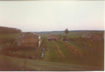 paesaggioagrario_20_20081007_2078137068