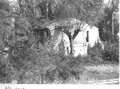 paesaggioagrario_29_20081007_1831824777