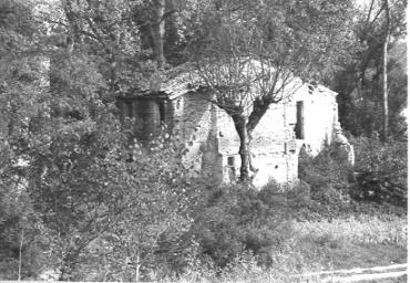paesaggioagrario_29_20081007_1831824777
