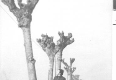 paesaggioagrario_31_20081007_1254651901