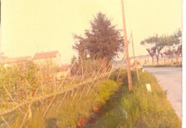 paesaggioagrario_3_20081007_1208045192