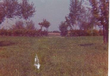 paesaggioagrario_4_20081007_1996564572