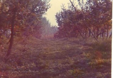 paesaggioagrario_5_20081007_1878836791