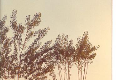 paesaggioagrario_6_20081007_1756052132