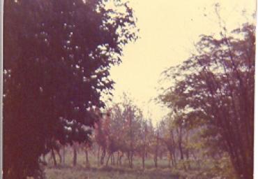paesaggioagrario_7_20081007_1073534025