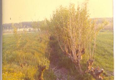 paesaggioagrario_8_20081007_1148270710