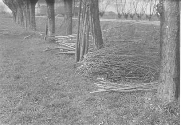 paesaggioagrario_40_20081007_1925434947