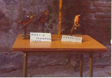 mostradiimpagliati_14_20081007_1314418593