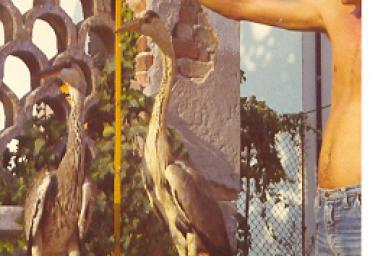mostradiimpagliati_22_20081007_1234677679