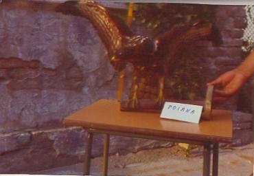 mostradiimpagliati_32_20081007_1657428514