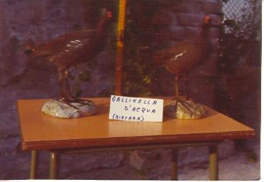 mostradiimpagliati_33_20081007_1998508370