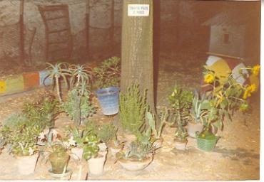 mostradiimpagliati_3_20081007_1462697400