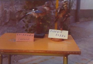 mostradiimpagliati_46_20081007_1850214438