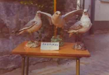 mostradiimpagliati_48_20081007_1274200058