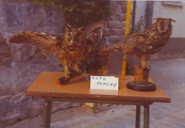 mostradiimpagliati_8_20081007_1277474301