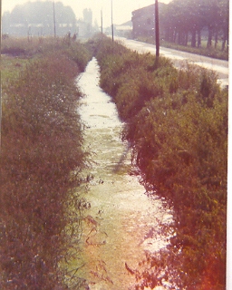 mostra1976_1_20081007_1577245326