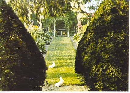 mostra1976_10_20081007_1666212157