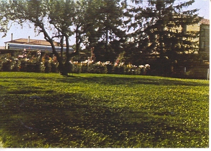 mostra1976_14_20081007_1084870991