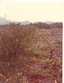 mostra1976_7_20081007_1353864071