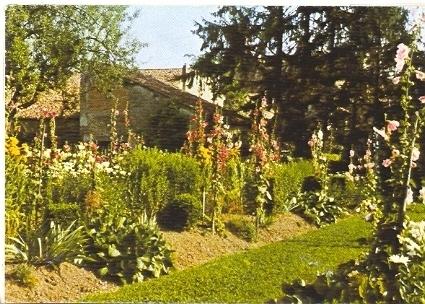 mostra1976_8_20081007_1186787566