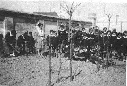 scuole_101_20081007_1753051981
